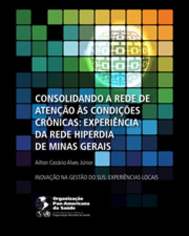 Consolidando a rede de atenção às condições crônicas: experiência da Rede Hiperdia de Minas Gerais