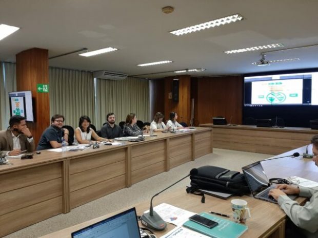 Cofen participa de reunião sobre relatório da OMS
