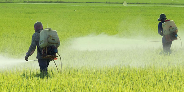 Mortalidade por suicídio é maior para trabalhadores da agropecuária, aponta estudo do ISC/UFBA