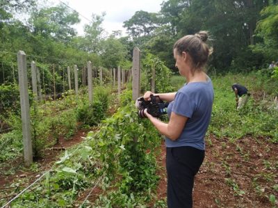 Fonte: Filmagem na Farmácia Viva em Jardinópolis/SP